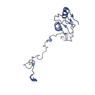 27009_8cvm_k_v1-1
Cutibacterium acnes 50S ribosomal subunit with P-site tRNA and Sarecycline bound in the local refined map