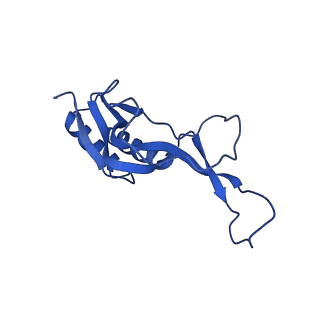 27009_8cvm_l_v1-1
Cutibacterium acnes 50S ribosomal subunit with P-site tRNA and Sarecycline bound in the local refined map