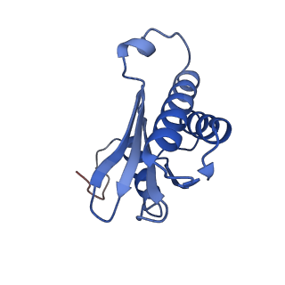 27009_8cvm_n_v1-1
Cutibacterium acnes 50S ribosomal subunit with P-site tRNA and Sarecycline bound in the local refined map