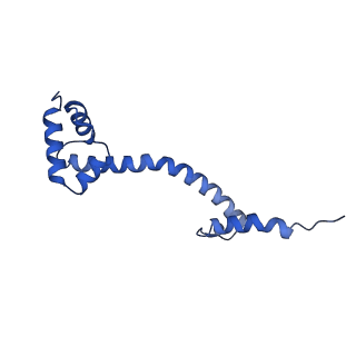 27009_8cvm_p_v1-1
Cutibacterium acnes 50S ribosomal subunit with P-site tRNA and Sarecycline bound in the local refined map