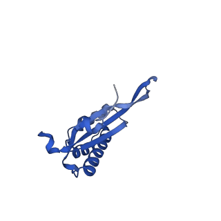 27009_8cvm_r_v1-1
Cutibacterium acnes 50S ribosomal subunit with P-site tRNA and Sarecycline bound in the local refined map
