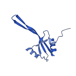 27009_8cvm_s_v1-1
Cutibacterium acnes 50S ribosomal subunit with P-site tRNA and Sarecycline bound in the local refined map