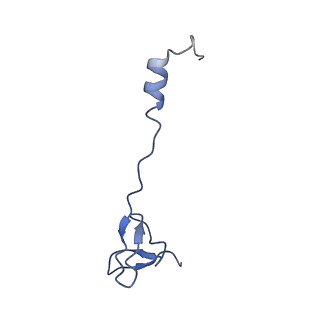 27009_8cvm_z_v1-1
Cutibacterium acnes 50S ribosomal subunit with P-site tRNA and Sarecycline bound in the local refined map