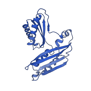 27011_8cvo_G_v1-1
Cutibacterium acnes 30S ribosomal subunit with Sarecycline bound, head domain only in the local refined map