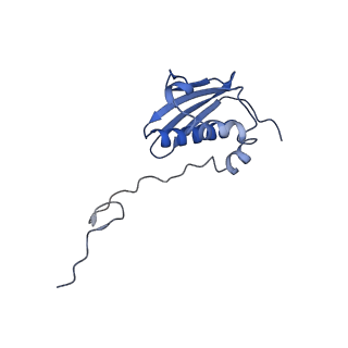 27011_8cvo_J_v1-1
Cutibacterium acnes 30S ribosomal subunit with Sarecycline bound, head domain only in the local refined map