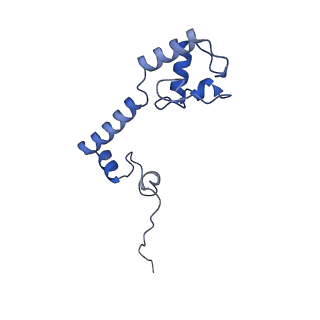 27011_8cvo_N_v1-1
Cutibacterium acnes 30S ribosomal subunit with Sarecycline bound, head domain only in the local refined map