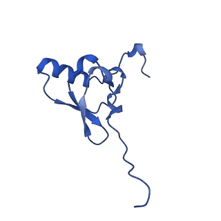 27011_8cvo_U_v1-1
Cutibacterium acnes 30S ribosomal subunit with Sarecycline bound, head domain only in the local refined map