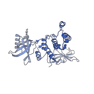 27012_8cvp_B_v1-1
Cereblon-DDB1 in the Apo form