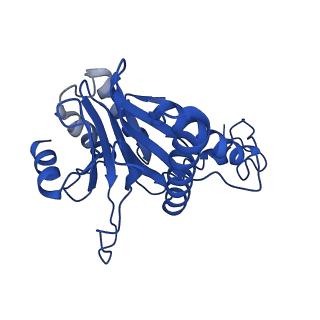 27013_8cvr_A_v1-0
Human 20S proteasome with MG-132