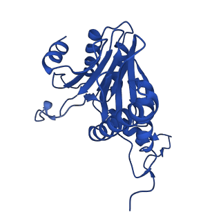 27013_8cvr_B_v1-0
Human 20S proteasome with MG-132