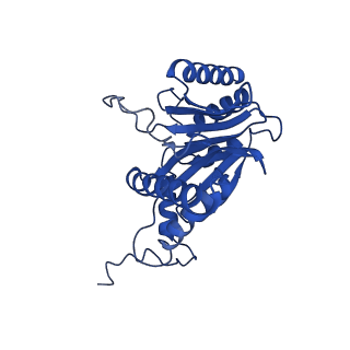 27013_8cvr_C_v1-0
Human 20S proteasome with MG-132