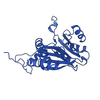 27013_8cvr_D_v1-0
Human 20S proteasome with MG-132