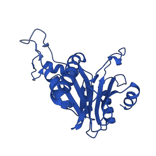 27013_8cvr_E_v1-0
Human 20S proteasome with MG-132