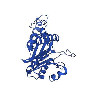 27013_8cvr_F_v1-0
Human 20S proteasome with MG-132