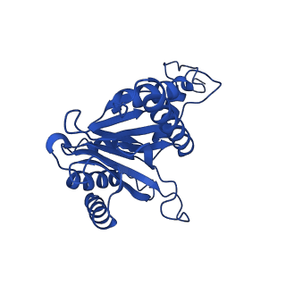 27013_8cvr_G_v1-0
Human 20S proteasome with MG-132