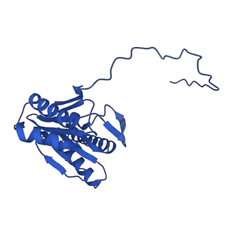 27013_8cvr_I_v1-0
Human 20S proteasome with MG-132