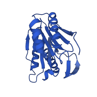 27013_8cvr_J_v1-0
Human 20S proteasome with MG-132