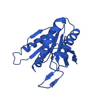 27013_8cvr_K_v1-0
Human 20S proteasome with MG-132