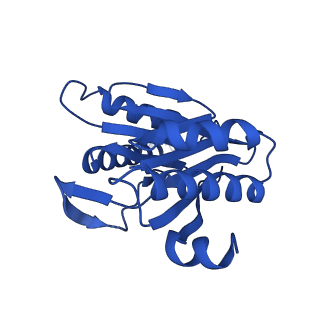 27013_8cvr_L_v1-0
Human 20S proteasome with MG-132