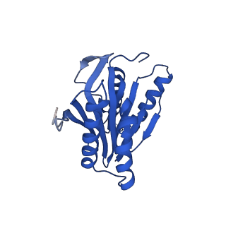 27013_8cvr_N_v1-0
Human 20S proteasome with MG-132