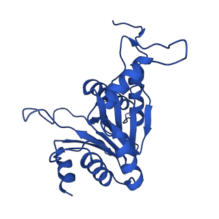 27013_8cvr_P_v1-0
Human 20S proteasome with MG-132