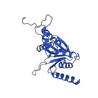 27013_8cvr_Q_v1-0
Human 20S proteasome with MG-132