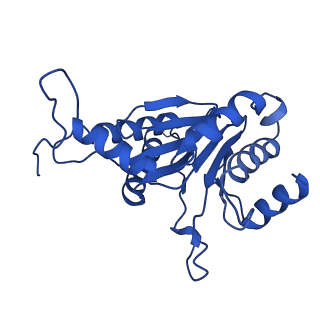 27013_8cvr_R_v1-0
Human 20S proteasome with MG-132