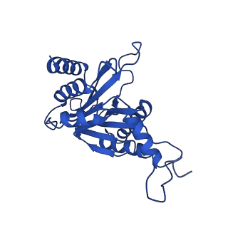 27013_8cvr_U_v1-0
Human 20S proteasome with MG-132
