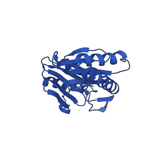 27013_8cvr_V_v1-0
Human 20S proteasome with MG-132