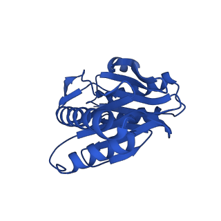 27013_8cvr_Z_v1-0
Human 20S proteasome with MG-132