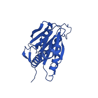 27013_8cvr_a_v1-0
Human 20S proteasome with MG-132