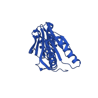 27013_8cvr_b_v1-0
Human 20S proteasome with MG-132