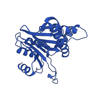 27015_8cvs_A_v1-0
Human PA200-20S proteasome with MG-132