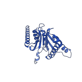 27015_8cvs_B_v1-0
Human PA200-20S proteasome with MG-132