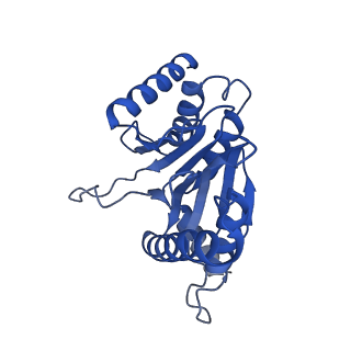 27015_8cvs_C_v1-0
Human PA200-20S proteasome with MG-132