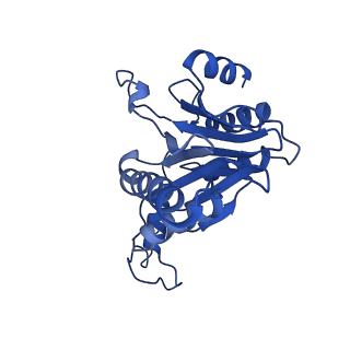 27015_8cvs_D_v1-0
Human PA200-20S proteasome with MG-132