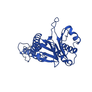 27015_8cvs_E_v1-0
Human PA200-20S proteasome with MG-132