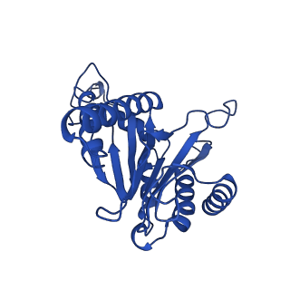 27015_8cvs_F_v1-0
Human PA200-20S proteasome with MG-132