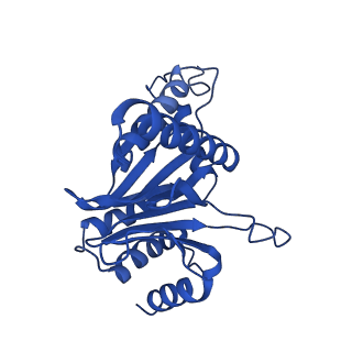 27015_8cvs_G_v1-0
Human PA200-20S proteasome with MG-132