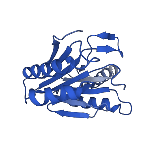 27015_8cvs_I_v1-0
Human PA200-20S proteasome with MG-132