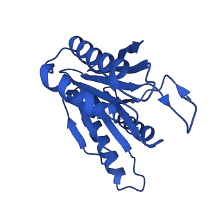 27015_8cvs_J_v1-0
Human PA200-20S proteasome with MG-132