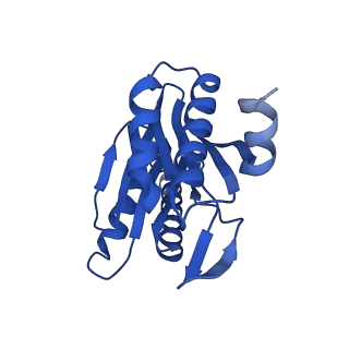 27015_8cvs_K_v1-0
Human PA200-20S proteasome with MG-132