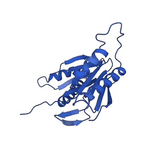 27015_8cvs_L_v1-0
Human PA200-20S proteasome with MG-132