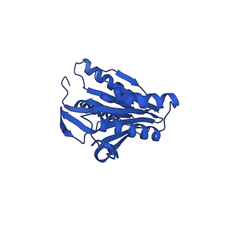 27015_8cvs_M_v1-0
Human PA200-20S proteasome with MG-132
