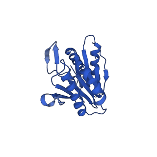 27015_8cvs_N_v1-0
Human PA200-20S proteasome with MG-132
