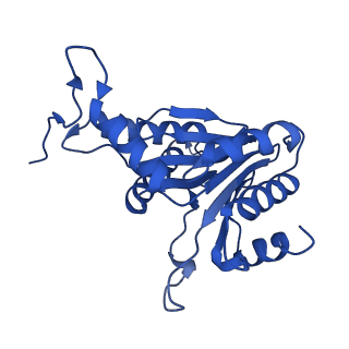 27015_8cvs_O_v1-0
Human PA200-20S proteasome with MG-132