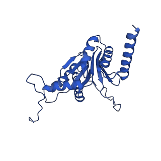 27015_8cvs_P_v1-0
Human PA200-20S proteasome with MG-132