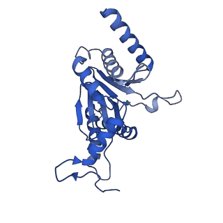 27015_8cvs_Q_v1-0
Human PA200-20S proteasome with MG-132