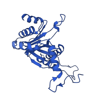 27015_8cvs_R_v1-0
Human PA200-20S proteasome with MG-132