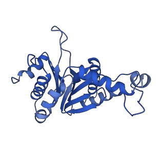 27015_8cvs_S_v1-0
Human PA200-20S proteasome with MG-132